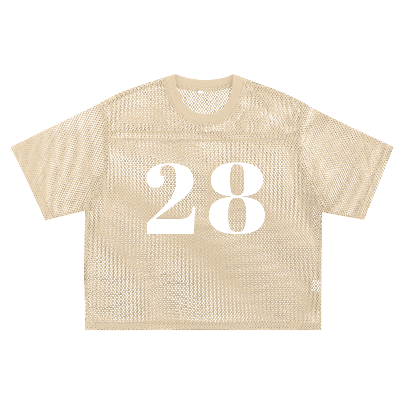 Twenty-Eight See-through Boxy Net T-shirt