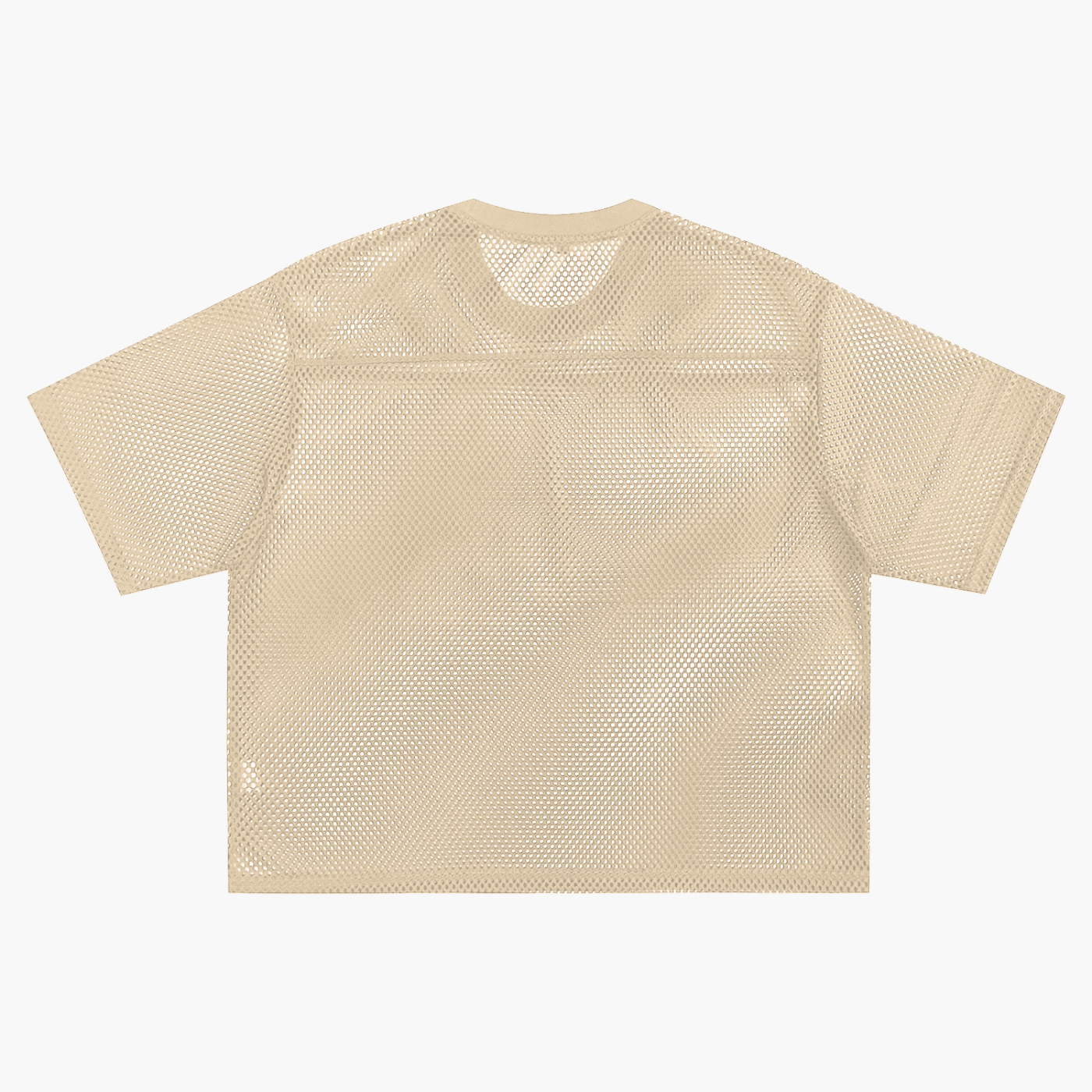Twenty-Eight See-through Boxy Net T-shirt